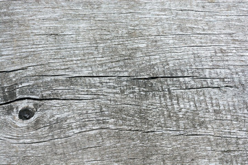 Old wooden surface. Gray dry wood. Nature. Cracks. Natural Texture.