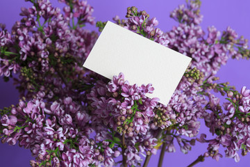 Postcard in lilac on a purple background, macro.