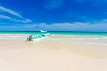 Obraz premium Paradise Beach (also known for Playa Paraiso) at sunny summer day - beautiful and tropical caribbean coast at Tulum in Quintana Roo, Riviera Maya, Cancun, Mexico