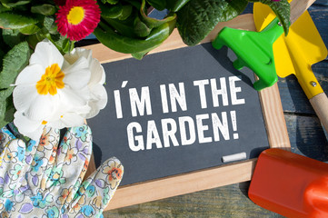 Chalkboard with plants and equipment with i am in the garden