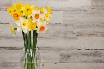 Beautiful yellow, white and orange daffodils in a vase with a shallow depth of field and copy space