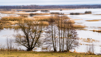 Biebrzański Park Narodowy. Wiosenne rozlewiska Biebrzy © podlaski49