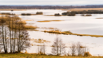 Biebrzański Park Narodowy. Wiosenne rozlewiska Biebrzy © podlaski49