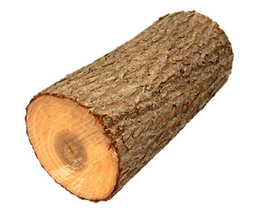 Wooden log as firewood
