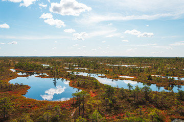 Fototapeta na wymiar Aerial view of swamp / bog in Kemeri National park with blue reflection lakes, wooden path, green trees and blue sky (Riga area, Latvia, Europe)