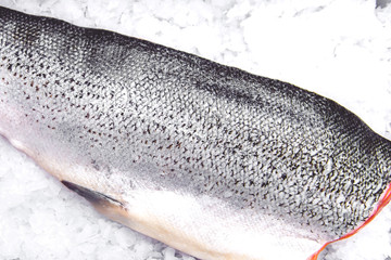 Fresh Salmon on Ice
