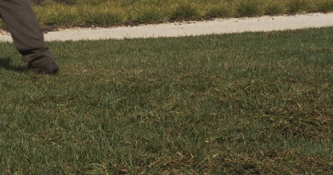 Gardener operating scarifying machine in grass lawn