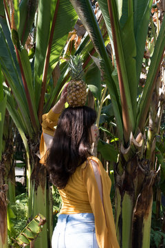 Pi&ntilde;a en la cabeza