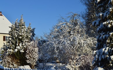 Winterschönheit in der Stadt