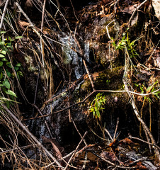 Rainy Weather Made Water Fall