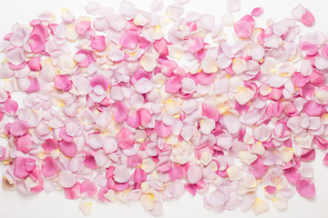 Fototapeta premium Pink rose flowers petals on white background. Flat lay, top view, copy space.