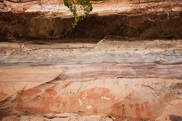 Ancient paintings on sandstone cliff, 3,000 year-old. Scene in paintings include giant Mekong catfish, elephants, turtles, rice farming, human figures, hands and geometric designs. Pha Taem, Thailand.