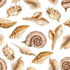 Seamless pattern with seashells on white background