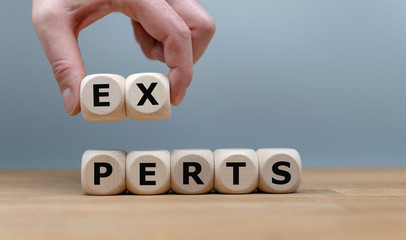Dice form the word "EXPERTS" while a hand holds the letters "EX".