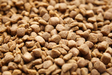 Dry food for dogs and cats. Pet meal background closeup