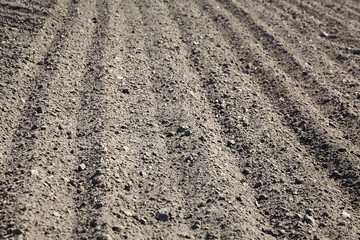 farmland, plowed land, sowing