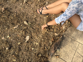 Gartenarbeit auf einer Farm 