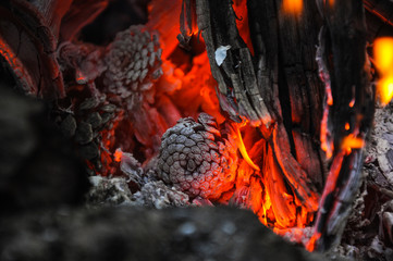cone in the fire