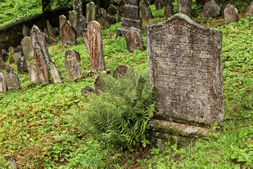 Old Jewish cemetery tombstone with the fern