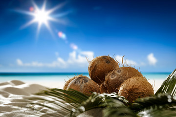 Coconuts on beach and summer landscape of sea 