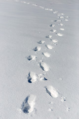 traces of shoes on a background of snow
