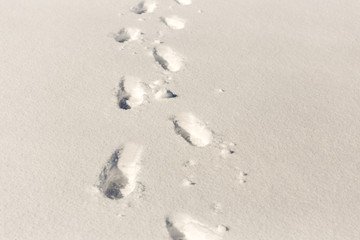 traces of shoes on a background of snow