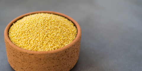 Organic millet seeds in a ceramic bowl, healthy and is gluten-free food.
