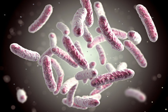 Microbe, microorganism, rod-shaped bacterium. 3D illustration of medically important bacteria