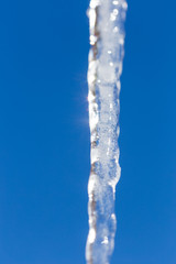 Icicle melts with falling drops on a background of bright blue sky