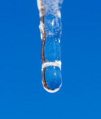 Icicle melts with falling drops on a background of bright blue sky