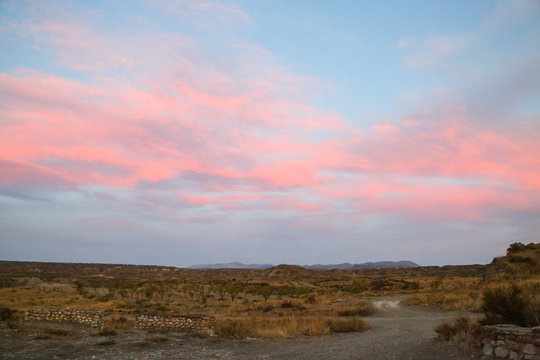 purple sky over steppe grassland