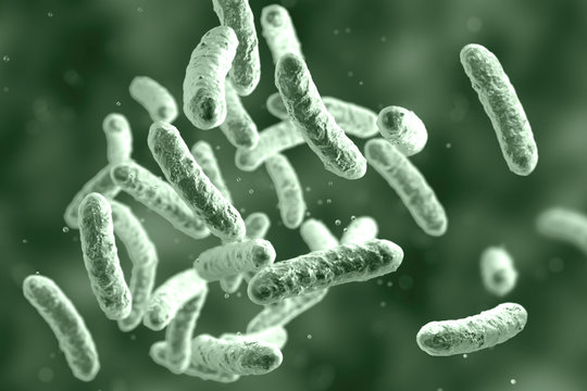 Microbe, microorganism, rod-shaped bacterium. 3D illustration of medically important bacteria