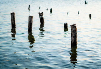 wooden posts in blue water