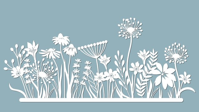 Echinacea, chamomile, schefler, noble hepatica, zephyrantes, stokesia. Vector illustration. Set of paper flower, stickers. Laser cut. Set template for laser cutting and Plotter. Vector illustration. S