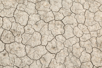 cracked earth texture in spain