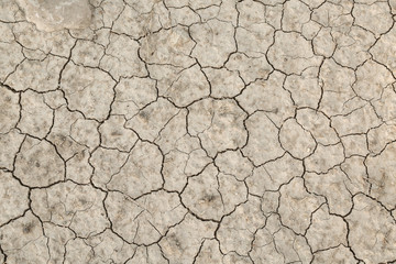 totally dried up cracked earth texture close up influenced by global warming