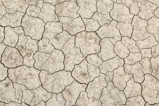 cracked earth texture in spain