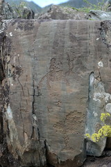  Rock petroglyphs in the tract Kalbak-Tash