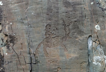  Rock petroglyphs in the tract Kalbak-Tash