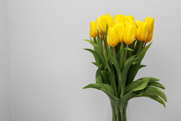 Yellow tulip flowers isolated on white background, for your creative design and decoration
