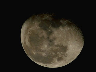 Moon - view from Orlando, Florida