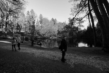 Fototapety na wymiar - Fototapeta24.pl