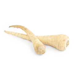 Parsnip isolated