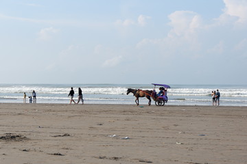 horse carriage on the beach