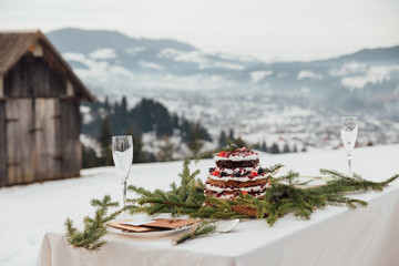 winter wedding in the mountains. Wedding decor, cake, glasses, champagne, plates with mountain views.