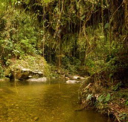 Ciudad Perdida hike in Colombia