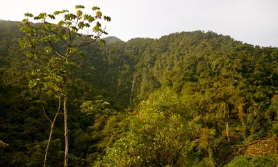 Ciudad Perdida hike in Colombia