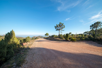 The desert of the palms in benicasim, Costa azahar