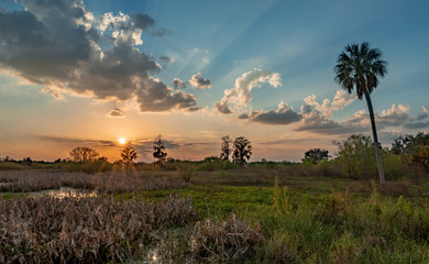 Fototapeta na wymiar Sunset over a Florida Swamp
