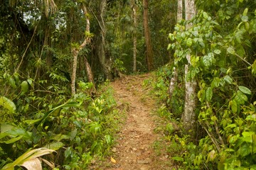 Ciudad Perdida hike in Colombia